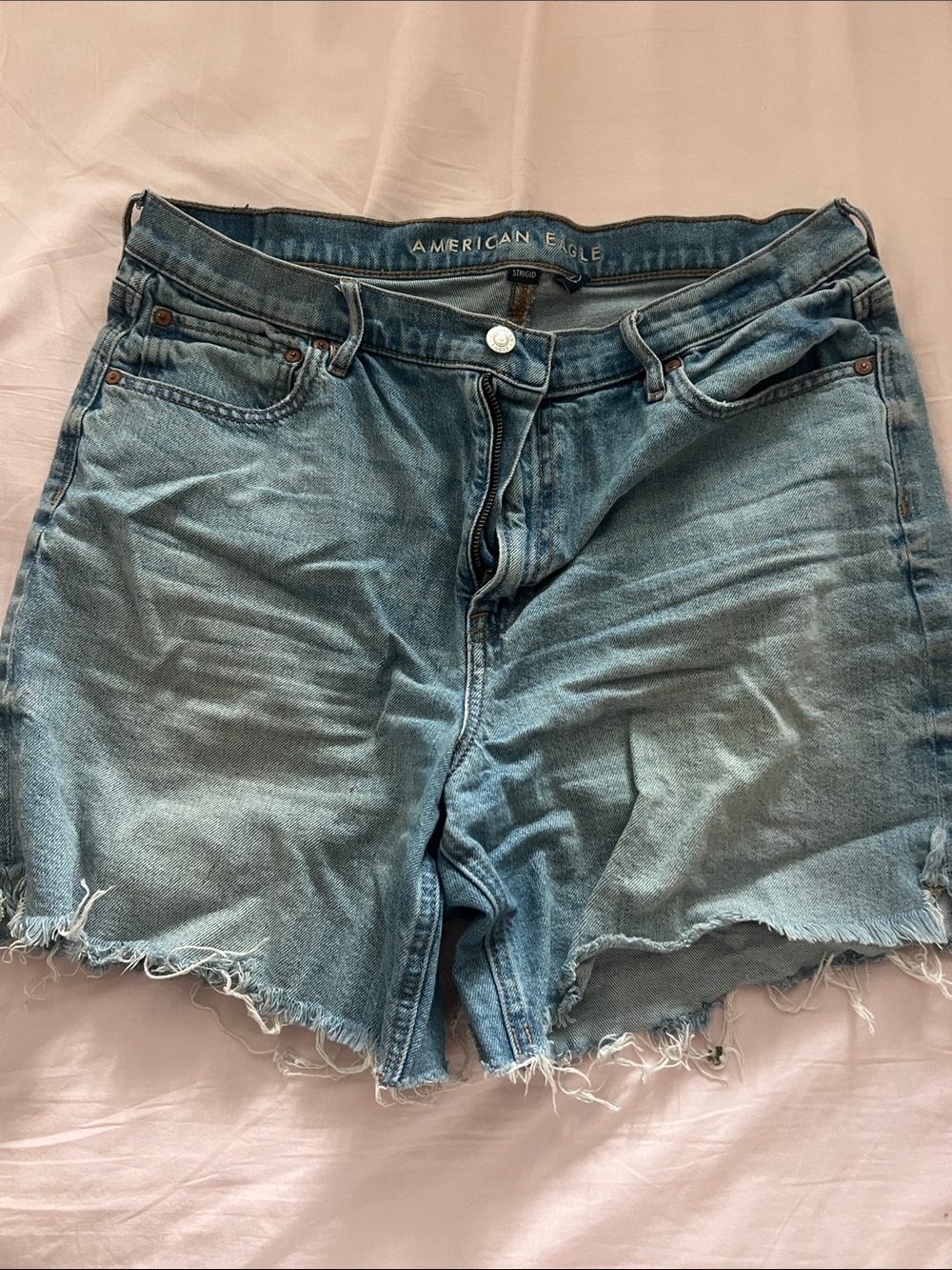 American Eagle Outfitters Light Blue Distressed Denim Shorts
